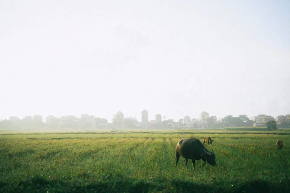 Kho gạo của Rin Trầm